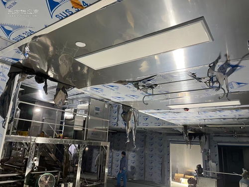 食品加工行業(yè)萬級無塵無菌凈化與安防工程一體化設(shè)計(jì)與施工